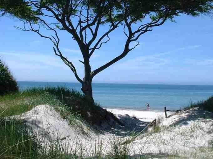 Ferienwohnung Suen Zingst Zewnętrze zdjęcie